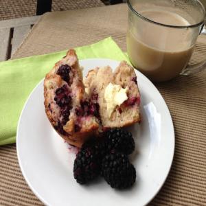 Blackberry Muffins Recipe - (4.4/5)_image