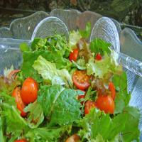 Cabbage and Mixed Greens Salad With Light Tangy Herb Vinaigrette image