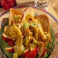 Curried Tuna Salad With Toasted Pecans image