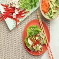 Shortcut Noodle-Bowl Lettuce Wraps_image