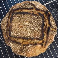 No-Knead Sourdough Bread_image