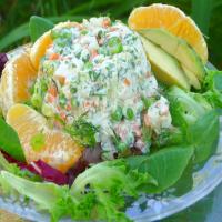 Chicken and Orange Salad image