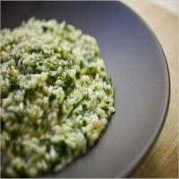 Fresh Herb Risotto image