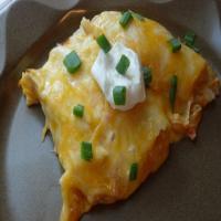 Cheese and Chicken Enchiladas (OAMC)_image