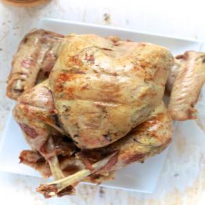 POULTRY - Pavochon (Thanksgiving Turkey) Recipe - (4.5/5)_image