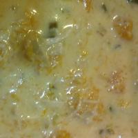 Coconut Chicken and Squash Soup_image