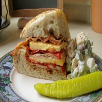 Turkey, Bacon and Havarti Sandwich image