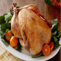 No-Baste, No-Bother Roasted Turkey image