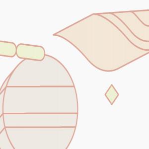Poitrine de volaille pochee (Poached chicken breast) image
