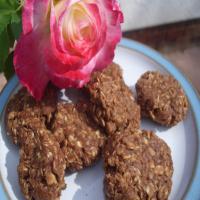 Healthier No-Bake Chocolate Oatmeal Cookies image