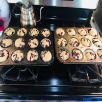 Vegan Blueberry Muffins with Applesauce_image