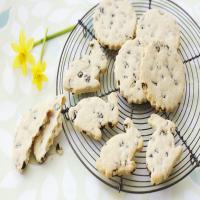 Easter garibaldi biscuits_image