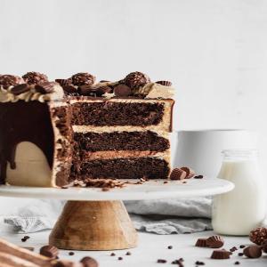 Nutella and Peanut Butter Cake_image