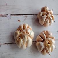 Braised Brisket with 36 Cloves of Garlic_image