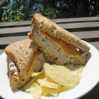 Quick and Easy Tuna Salad Sandwich for Kids of All Ages image