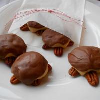 Snappy Turtle Cookies_image
