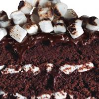 Chocolate-Malt Cake_image