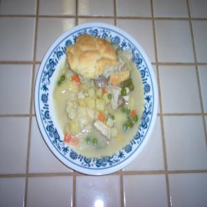Chicken-Vegetable Pot Pie / Pies_image