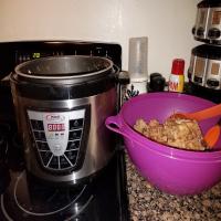 Pressure Cooker Pulled Pork Recipe - (4.5/5)_image