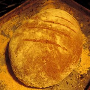 Whole Wheat Sourdough Bread_image