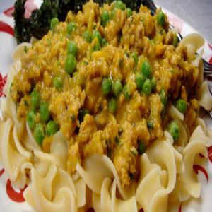 Ground Turkey With Creamy Squash Sauce over Noodles image