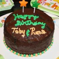 Party Cake (for dogs OR humans)_image
