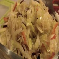Tangy Slaw With Sauerkraut and Apples_image