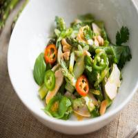 Asparagus and Chicken Salad With Ginger Dressing image