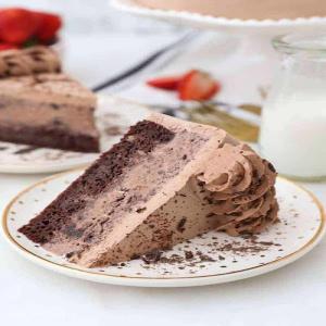 Chocolate Ice Cream Cake with Chocolate Ice Cream- Easy Recipe!_image