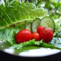 Classic Vinaigrette Salad Dressing_image
