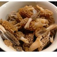 Morel Mushrooms image