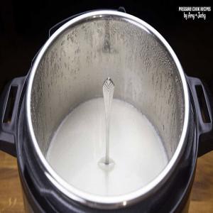 Foolproof Instant Pot Yogurt #12 Recipe by Amy + Jacky_image