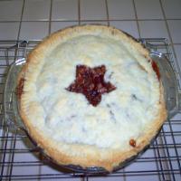 Cranberry Mincemeat Tarts or Pie #2_image