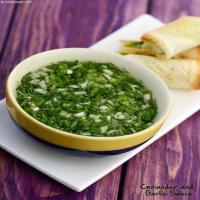 Coriander and Garlic Sauce_image