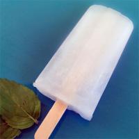 Old Fashioned Vanilla Ice Pops (a.k.a. Pop Pops) image