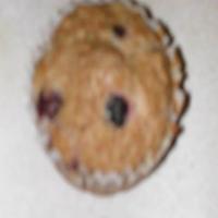 Diabetic Oatmeal/Cranberry Muffins_image