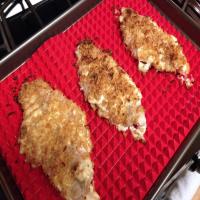 Oven Baked Onion Ranch Catfish Fillets image