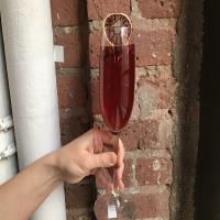 Pomegranate Cocktail With Sparkling Wine image