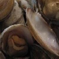 Steamed Clams with garlic butter_image