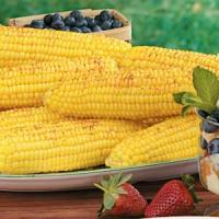 Roasted Corn on the Cob image
