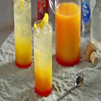 Citrus-Tequila Cocktail_image