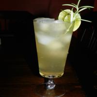 Rosemary Limeade for 2 image