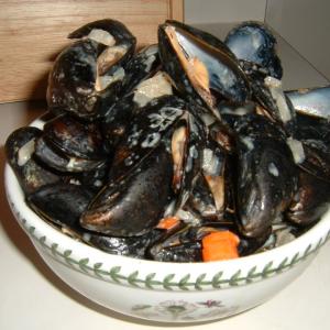 Mussels Moorings Style_image
