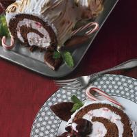 Frozen Chocolate-Peppermint Bùche de Noël image