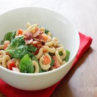 WW BLT Macaroni Salad_image