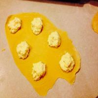 Homemade Cheese Ravioli Filling Recipe - (4.4/5)_image