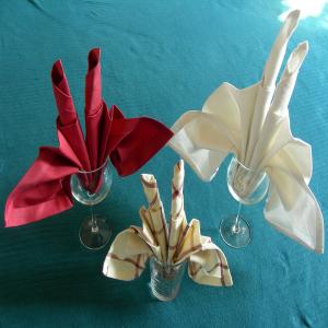 Serviette/Napkin Folding, Candle Fan Fold image