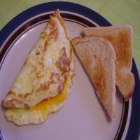 Solo Green Chili Cheese Omelette image