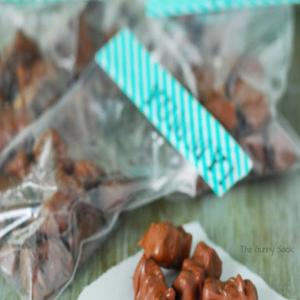 Chocolate Covered Gummy Bears Recipe_image