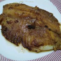 Grilled Tuna Fish Steaks_image